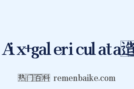 Aix+galericulata造句是什么意思的图片
